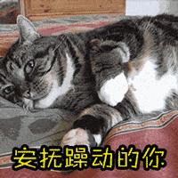 保利华润高端楼盘,南部新城保利文华