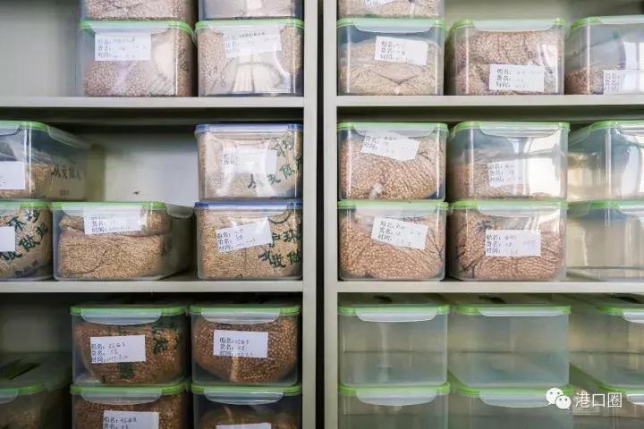 我眼中的大连港,了不起的中国大连