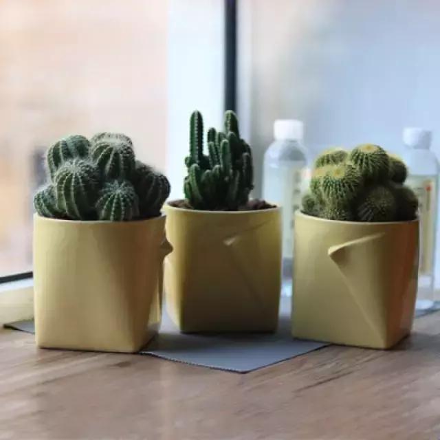 花卉摆放位置有讲究,风水上可以招财的花卉植物