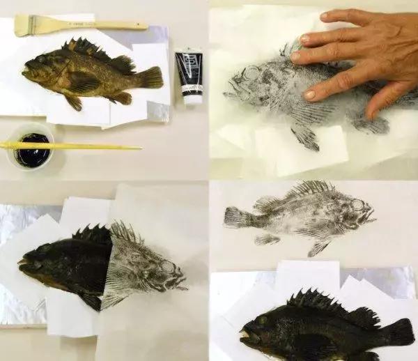 唯美鱼手绘画,唯美鱼手绘高级