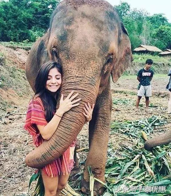 清迈度假酒店推荐,泰国清迈anantara酒店