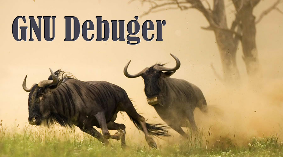 gdb命令查看core文件,gdb基本命令非常详细