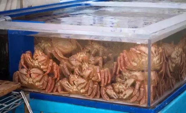 红毛蟹蟹腿多少钱,红毛蟹贵还是雪蟹贵