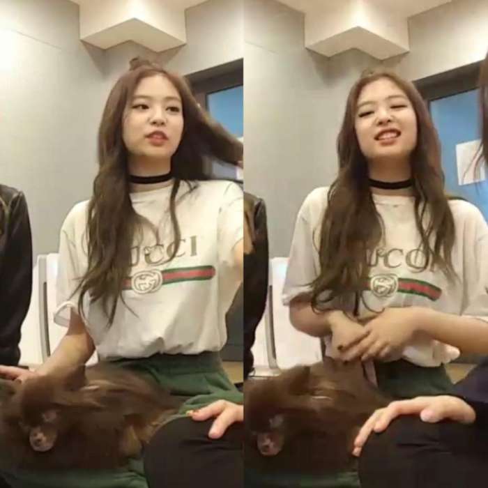 guccichaneldior比较,dior和gucci哪个牌子好