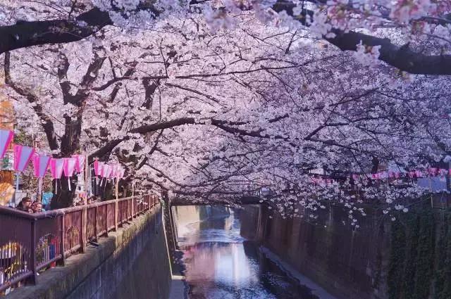 《景区包场指南》：如何在人肉堆里拍出“空无一人”的照片？