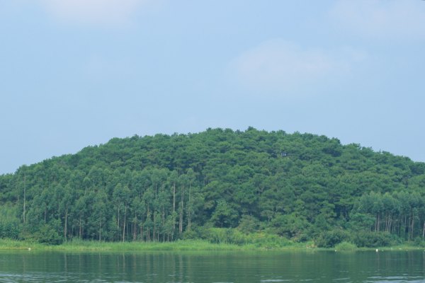 横县茉莉花之乡中华茉莉园,欢迎来到广西横县茉莉花之乡