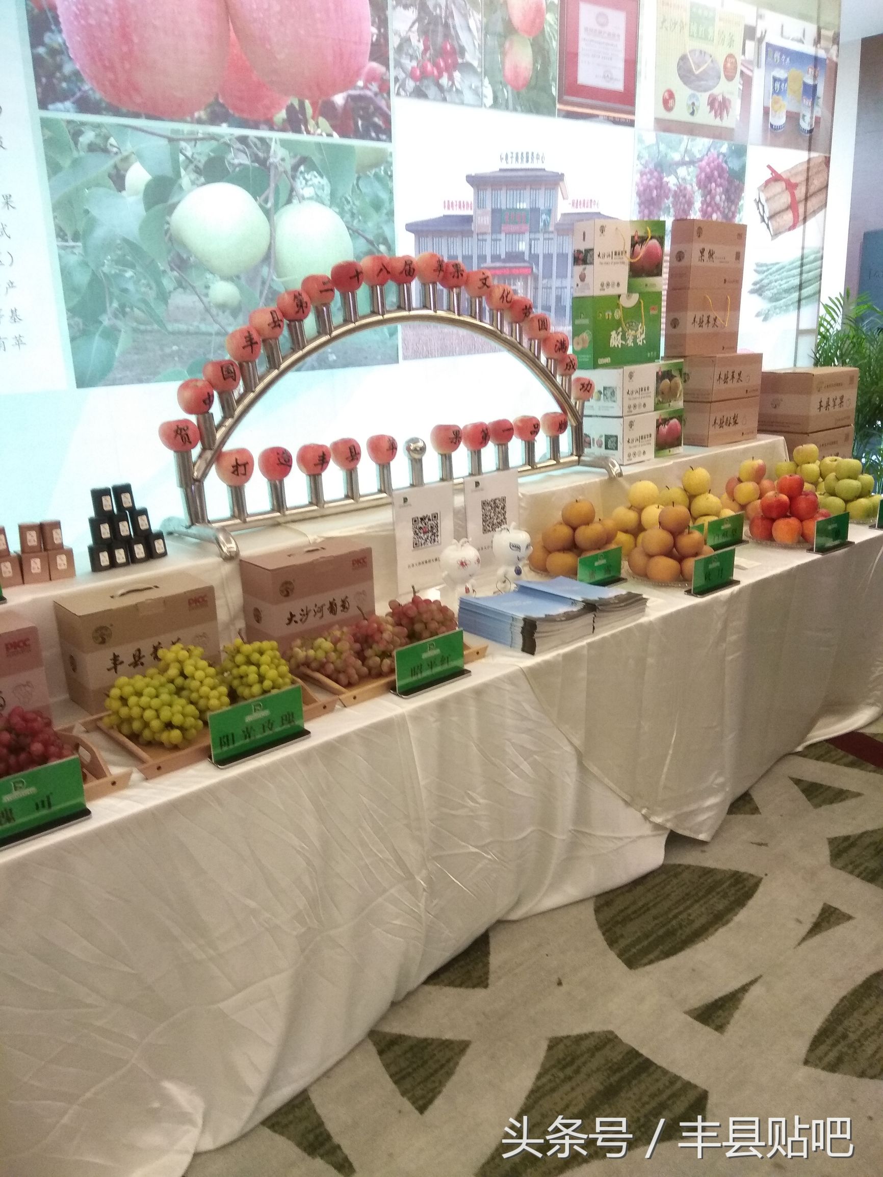 摘苹果徐州丰县,丰县哪个地方能摘苹果