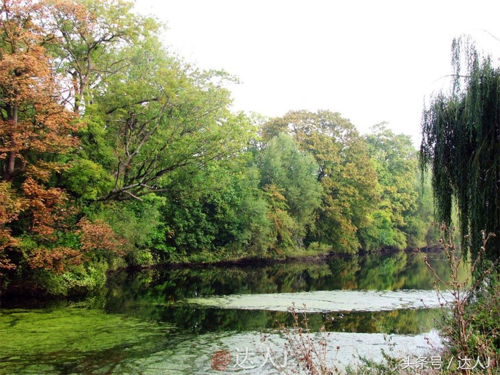 达人J：童话王国丹麦-我愿意