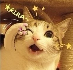 测评朵唯手机朵喵喵,朵唯l525手机好用吗