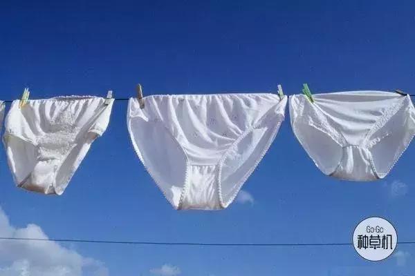 *裤内**什么时候洗？用什么洗？洗完怎么晾？99%的女人都做错了！