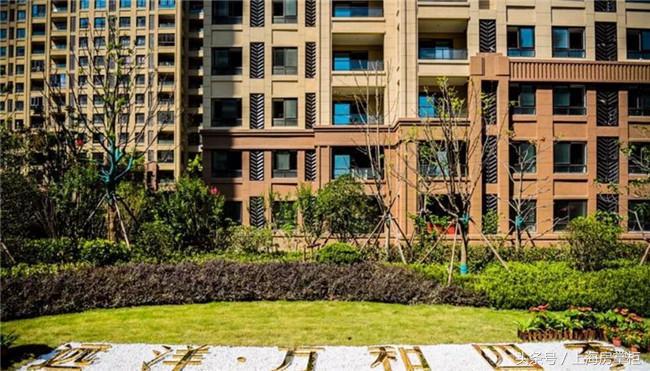 紧邻16号线惠南站一品牌开发商开盘为何如此热销