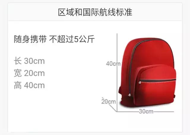 国际航空公司行李要求英文版,国际航空行李物品规定