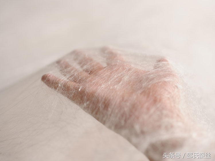 蚕丝被什么品牌的好性价比高,怎么看蚕丝被品牌