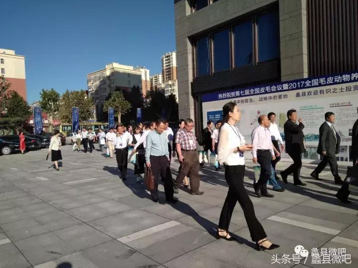 蠡县奖状一等奖,蠡县中国皮都