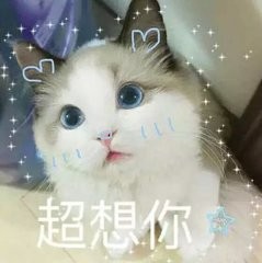 测评朵唯手机朵喵喵,朵唯l525手机好用吗