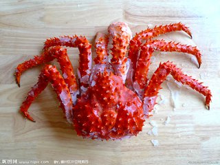 海蟹和河蟹怎么区别,海蟹河蟹区分