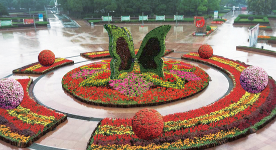 早安合肥｜合肥机动车选号将启用“全国版”运气好可选到皖A00000