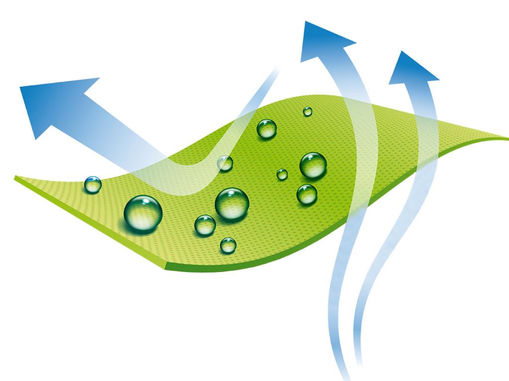 挂靠骗局大揭秘,证书挂靠乱象调查