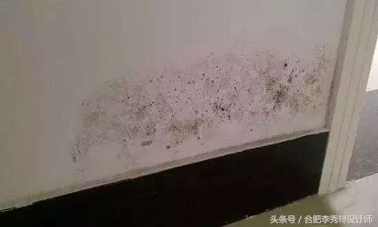 墙壁严重发霉怎么再刷白,墙壁发霉怎么处理最有效