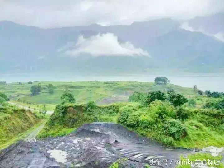 成都周边农场推荐,成都周边最有特色的农场