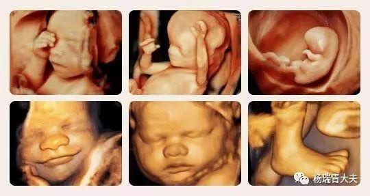 惊艳震撼的5d电影,超逼真的5d电影