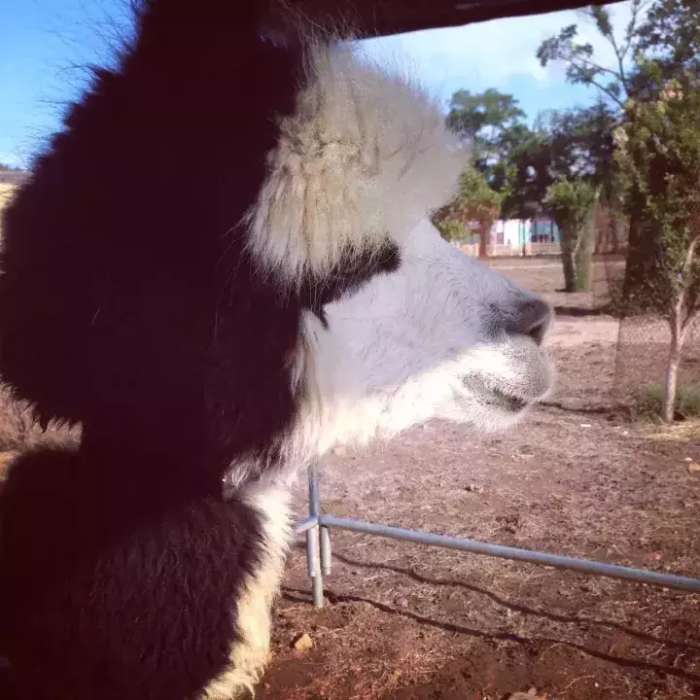 大连性价比较高的温泉,大连温泉哪家好又便宜