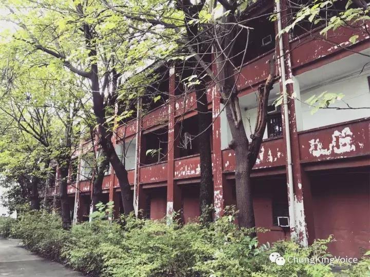 重庆桃花岛和中坝岛,重庆最大中坝岛