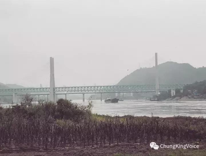 重庆桃花岛和中坝岛,重庆最大中坝岛