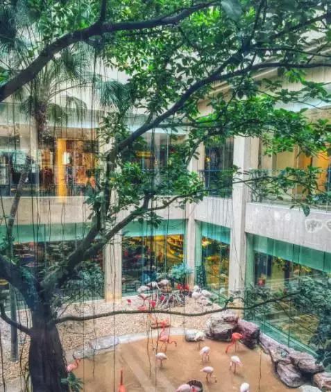 带娃广州长隆旅游攻略,广州珠海长隆攻略亲子游5天