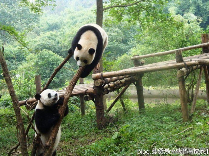 西成高铁沿线旅游,川西北高铁沿线旅游景点