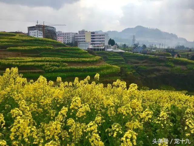 达州市最差的县城,达州最差的高中是哪个