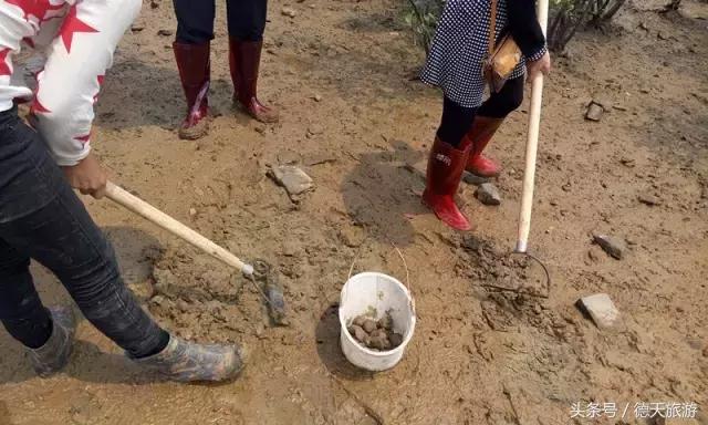 防城港的这片红树林，国庆要搞事情了，等你来撩~