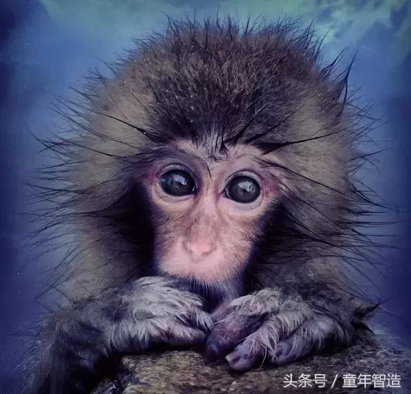 值得带孩子去看的画展,全球最值得看的20个展览