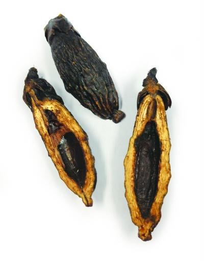 槟榔行业前景堪忧,槟榔产业背后的秘密