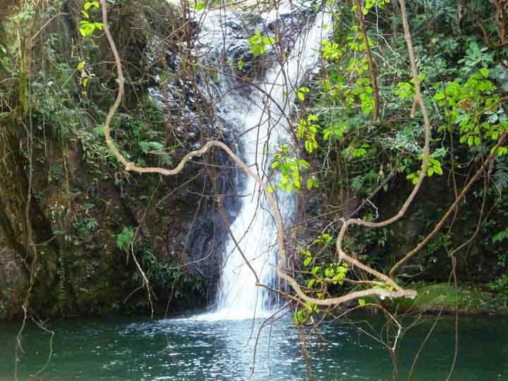 那一片花海原版视频,那一片香雪海