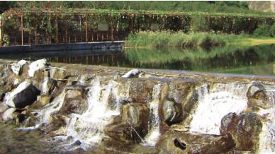 京郊采摘,秋天京郊采摘好去处