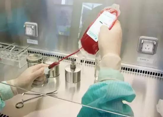 脐带血捐好还是自存好,血液科医生建议存脐带血有必要吗