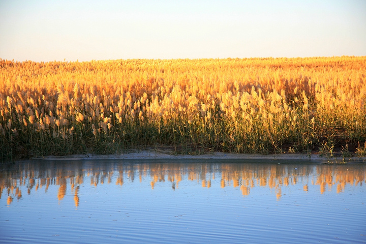 一个真实的故事原创,一个真实的故事有几个版本