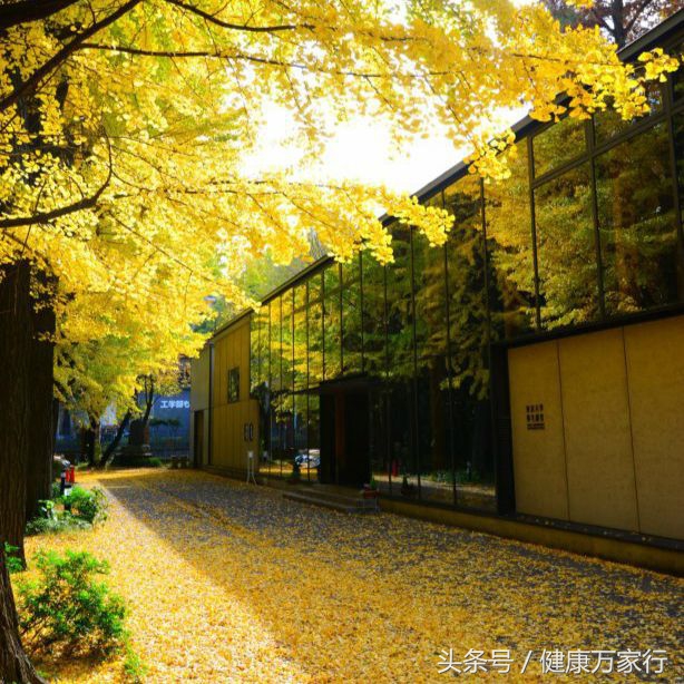 要闻指的是什么,要闻的意思