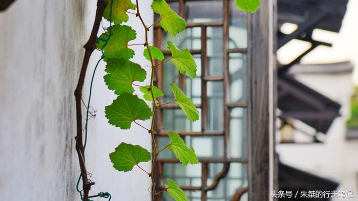 夜游南浔古镇感受江南水乡的美,江南六大古镇最值得一去的是南浔