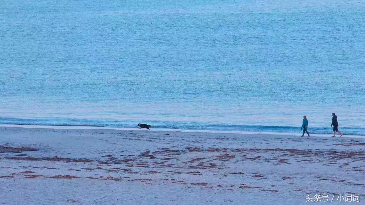 玩转南澳大利亚，这篇最全旅行攻略一定可以帮到你