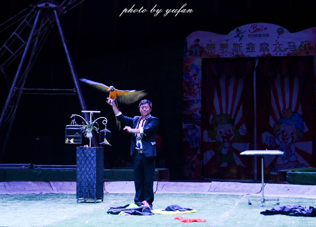 皇家大马戏巴伐利亚,广东哪里有大马戏