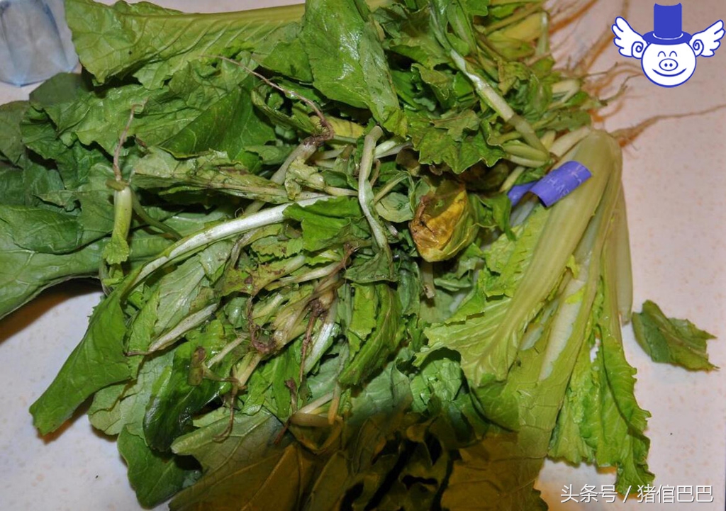 猪中毒了紧急处理怎么弄,猪中毒的七种应急处理措施是