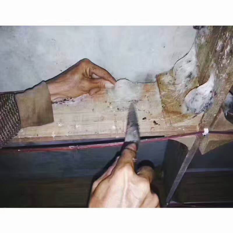 马来西亚燕窝与印尼燕窝哪个好,马来西亚的燕窝和印尼燕窝区别