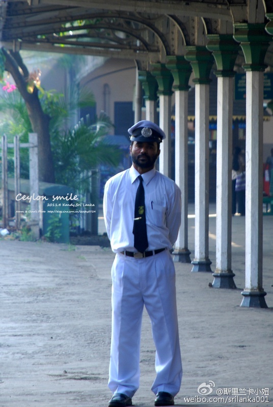 怎样选锡兰红茶,小白学茶的100个基础