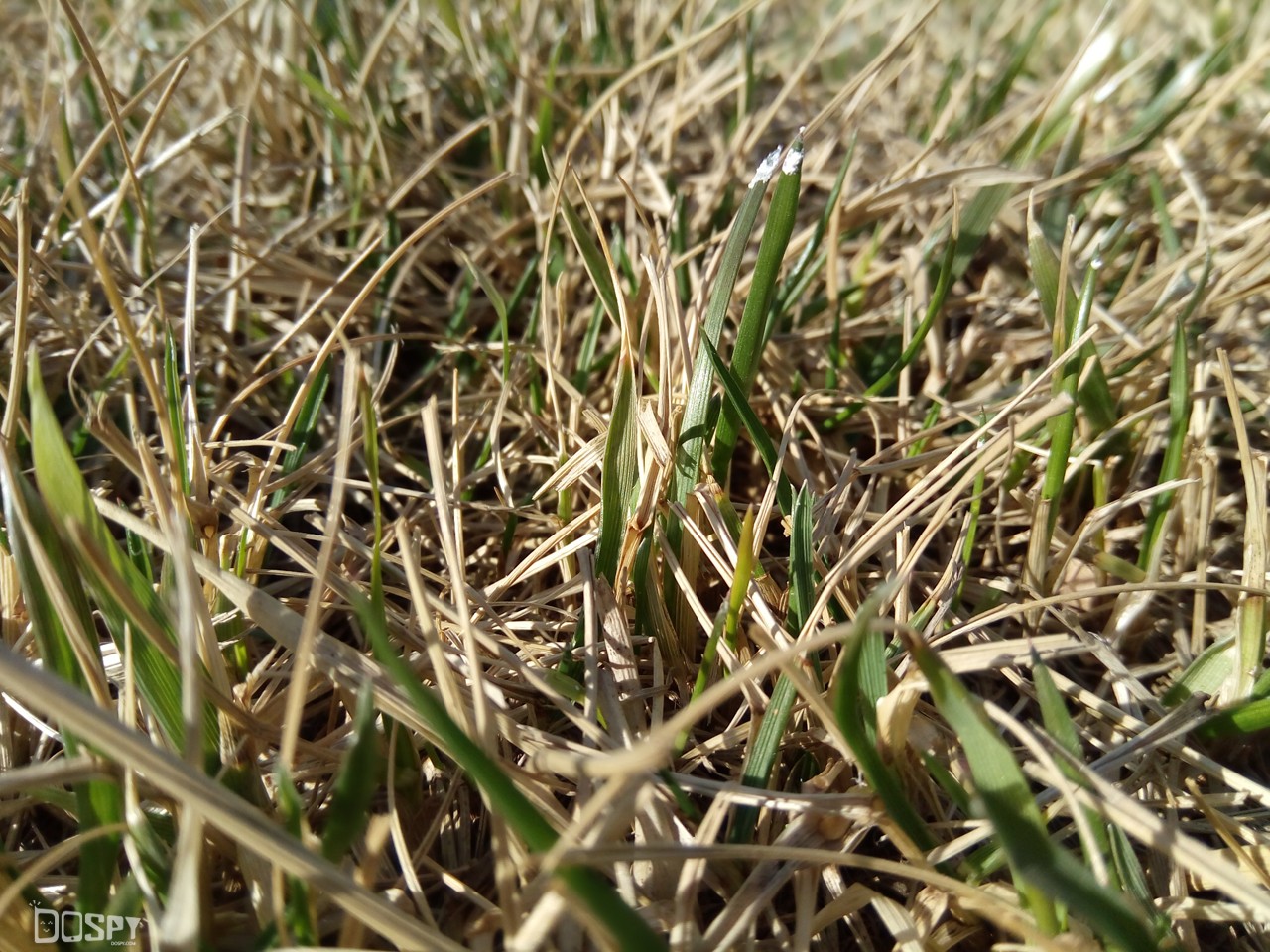 360手机f4,360手机f4全网通版评测