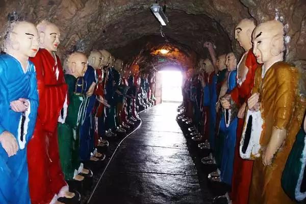 沐浴暖阳踏青,踏青走起