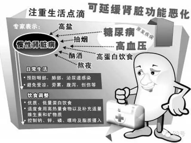 孩子慢性肾炎等待肾移植,郑大一附院肾移植全过程