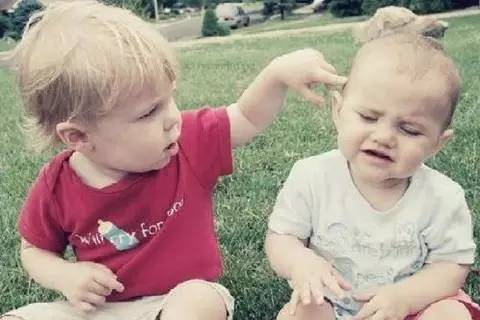 宠物美容师做久了的危害,做了几年美容师脾气暴躁