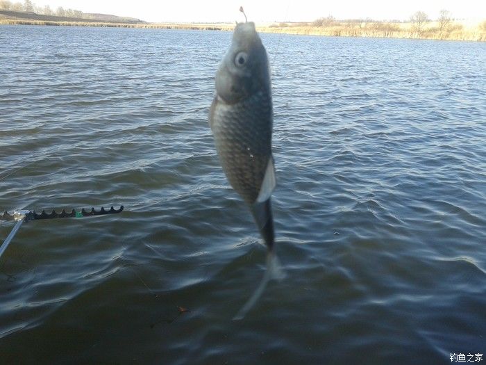 远征远征17,远征17-20